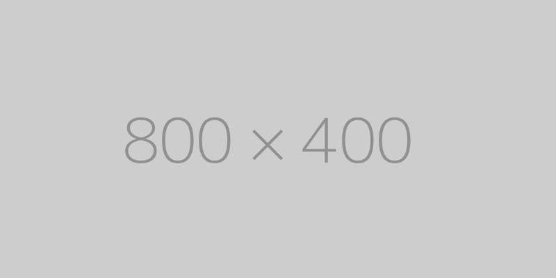 hongo 800x400-ph